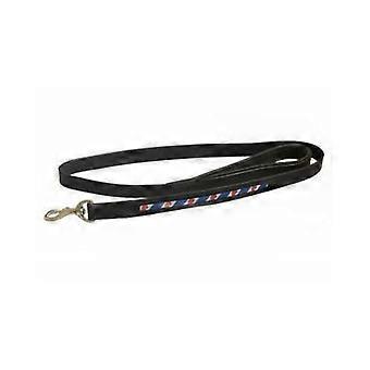 Leather Dog Leash With Frieze