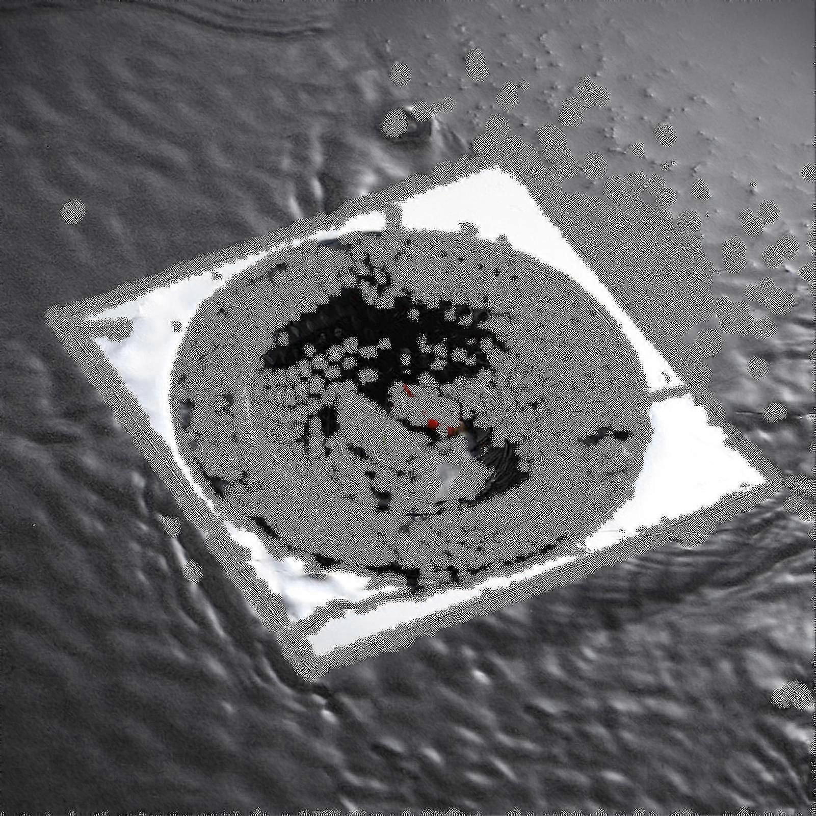 Avløpsfilter Rustfritt stål, kjøkkenvask, avløpsfilter, stor kurvfilter for hjemmebruk