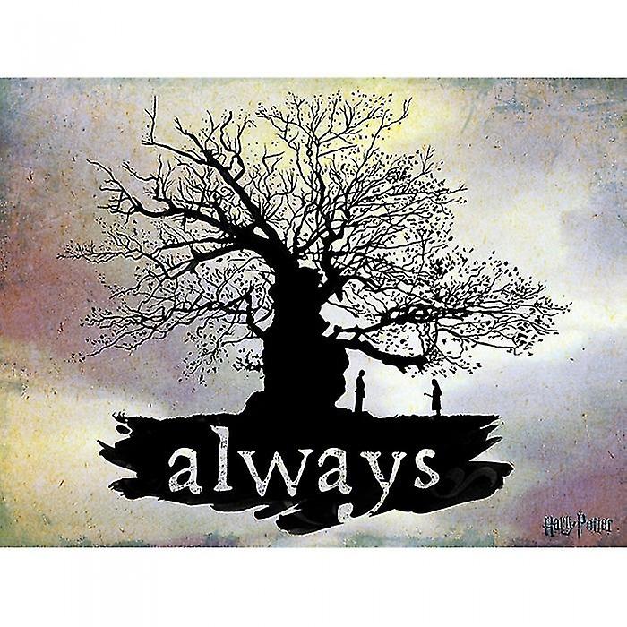 Harry Potter altijd canvas print