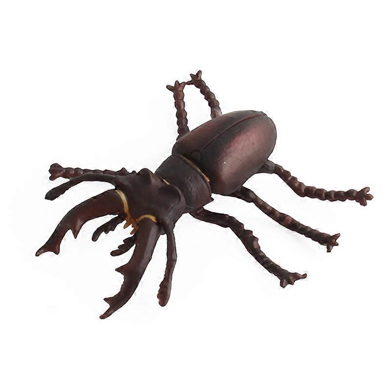 Simulated Solid Insect Models Set - Realistic Animal Sand Table Scene Display for Scientific Education, Cognitive Development
