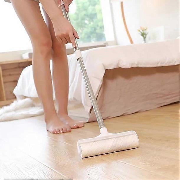 Easylife Telescopic Sticky Roller