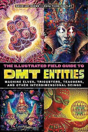 The Illustrated Field Guide to DMT Entities: Machine Elves Tricksters Teachers and Other Interdimensional Beings