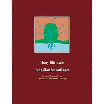 Feng Shui Fr Anfngergeomantie Kraftorte Leylines Physische Und Magische - Harry Eilenstein