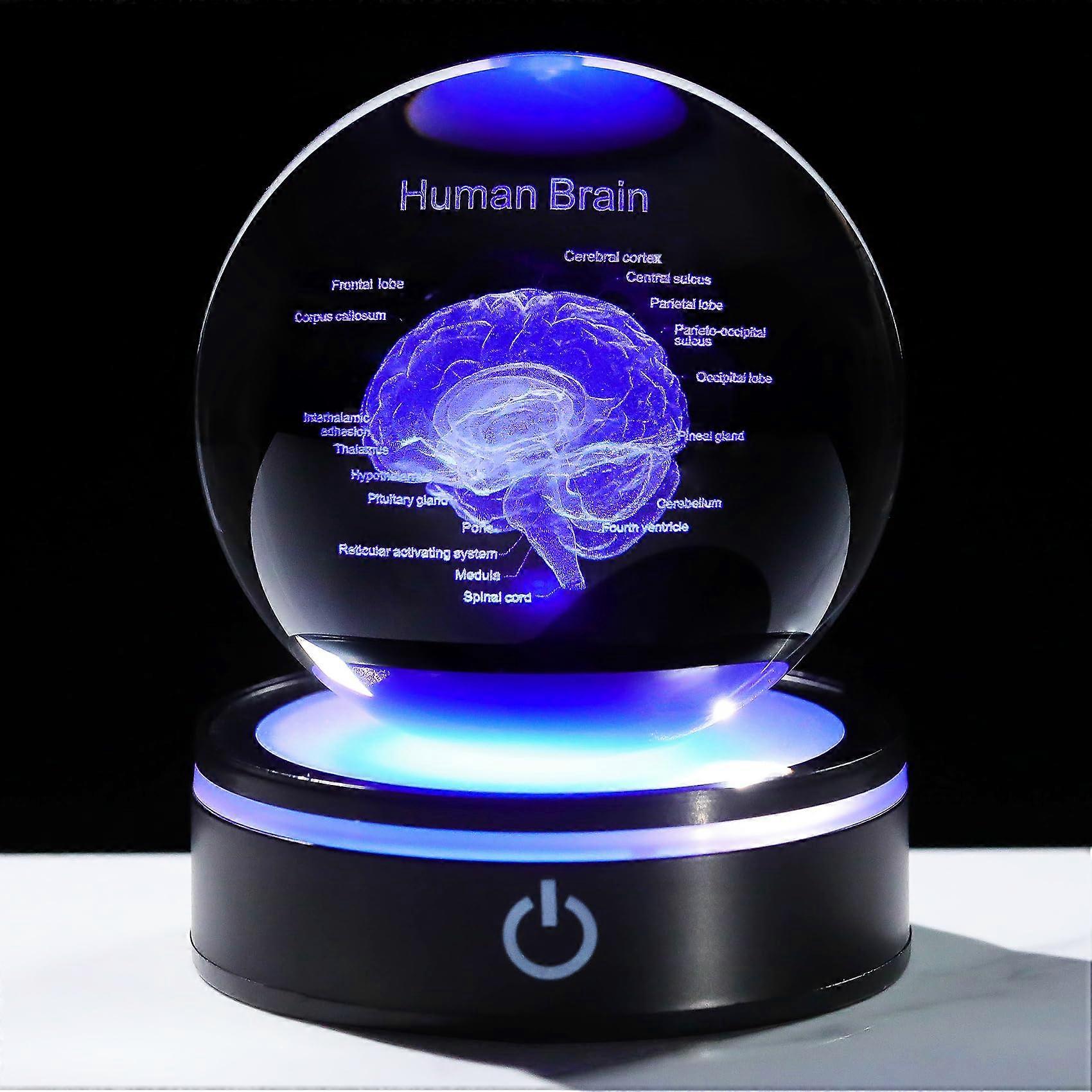 3D Crystal Brain with ColorChanging LED Base, Laser Engraved Medical Display Model Gift