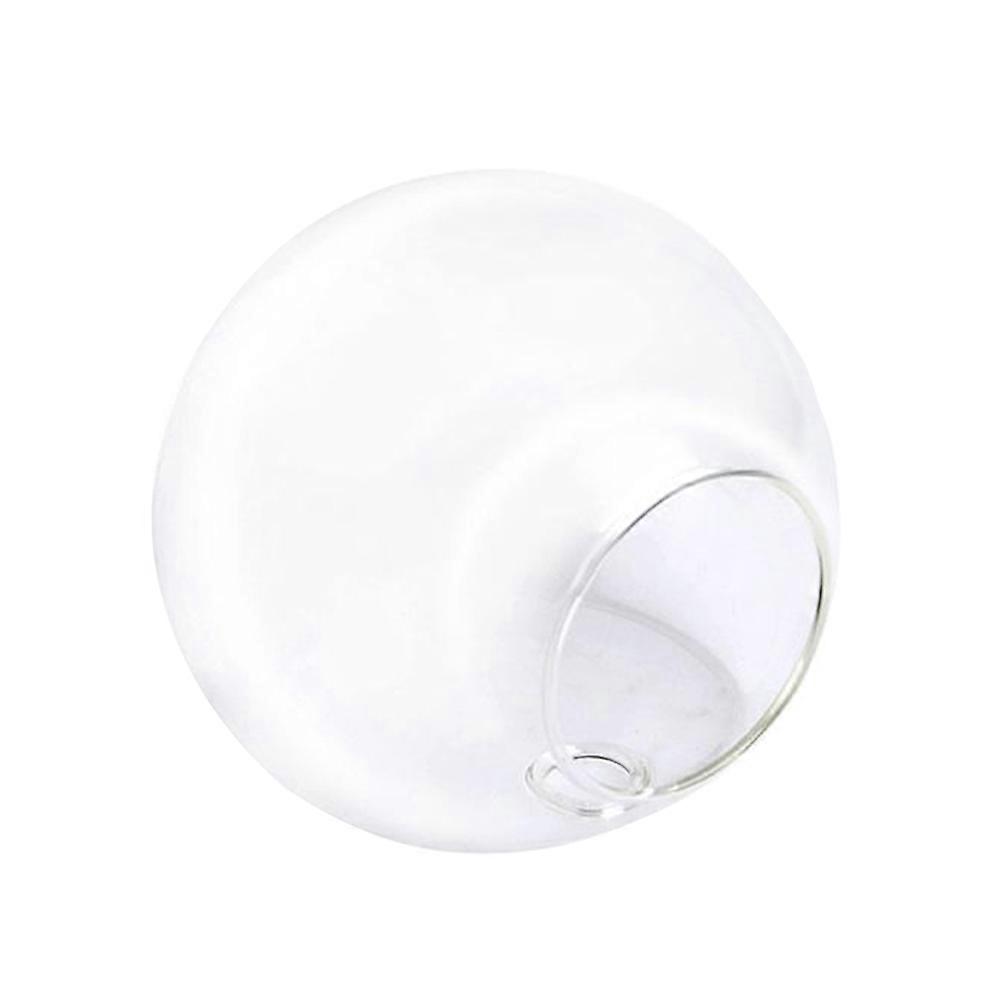 Glass Flower Vase Wall Terrarium Container for Plants Use