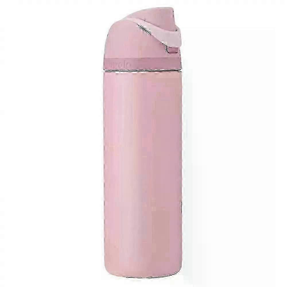 24oz Stainless Steel Owala Freesip Water Bottle