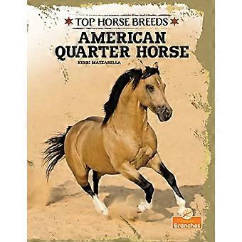 Amerikansk Quarter Horse
