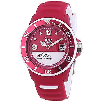 Pantone universe(tm) Watch for Unisex Analog Quartz with Silicone PAN bracelet. Bc. Jaz. U.S.13