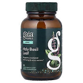 Gaia Herbs, Holy Basil Leaf, 60  Liquid Phyto-Caps®