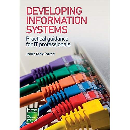 Developing Information Systems: Practical Guidance for IT Professionals