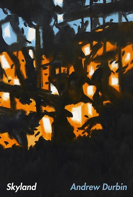 Skyland by Andrew Durbin Paperback