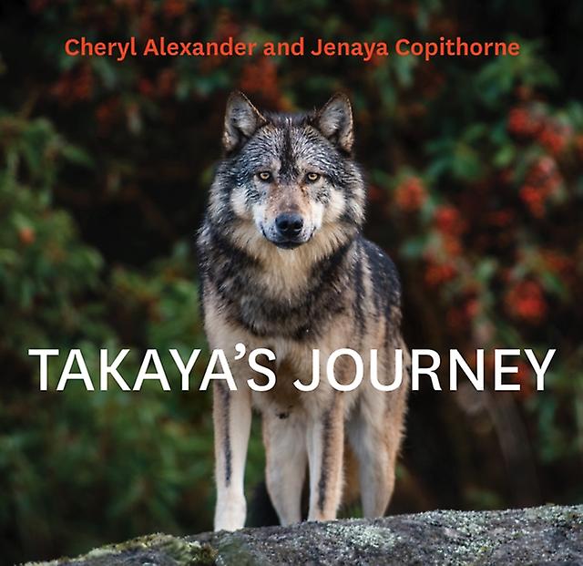 Takayas Journey - Cheryl Alexander