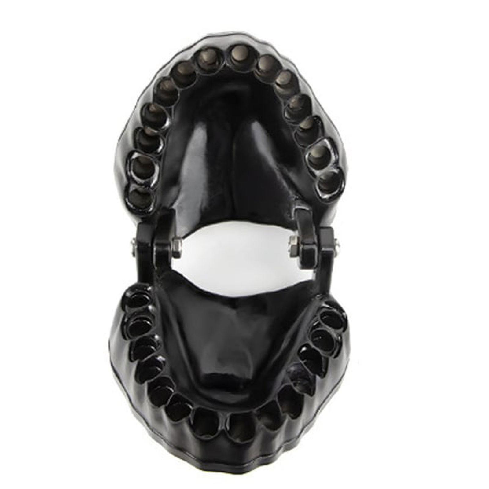 1x Denture Drill Bit Holder Model Layout Compatible For 1/4" Hex Bit And Drives