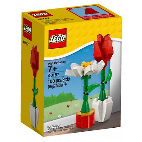 LEGO 40187 Flower Splendour