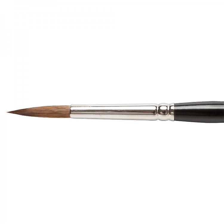 RAPHAEL Kolinsky Sable Paint Brush Series 8404, 7