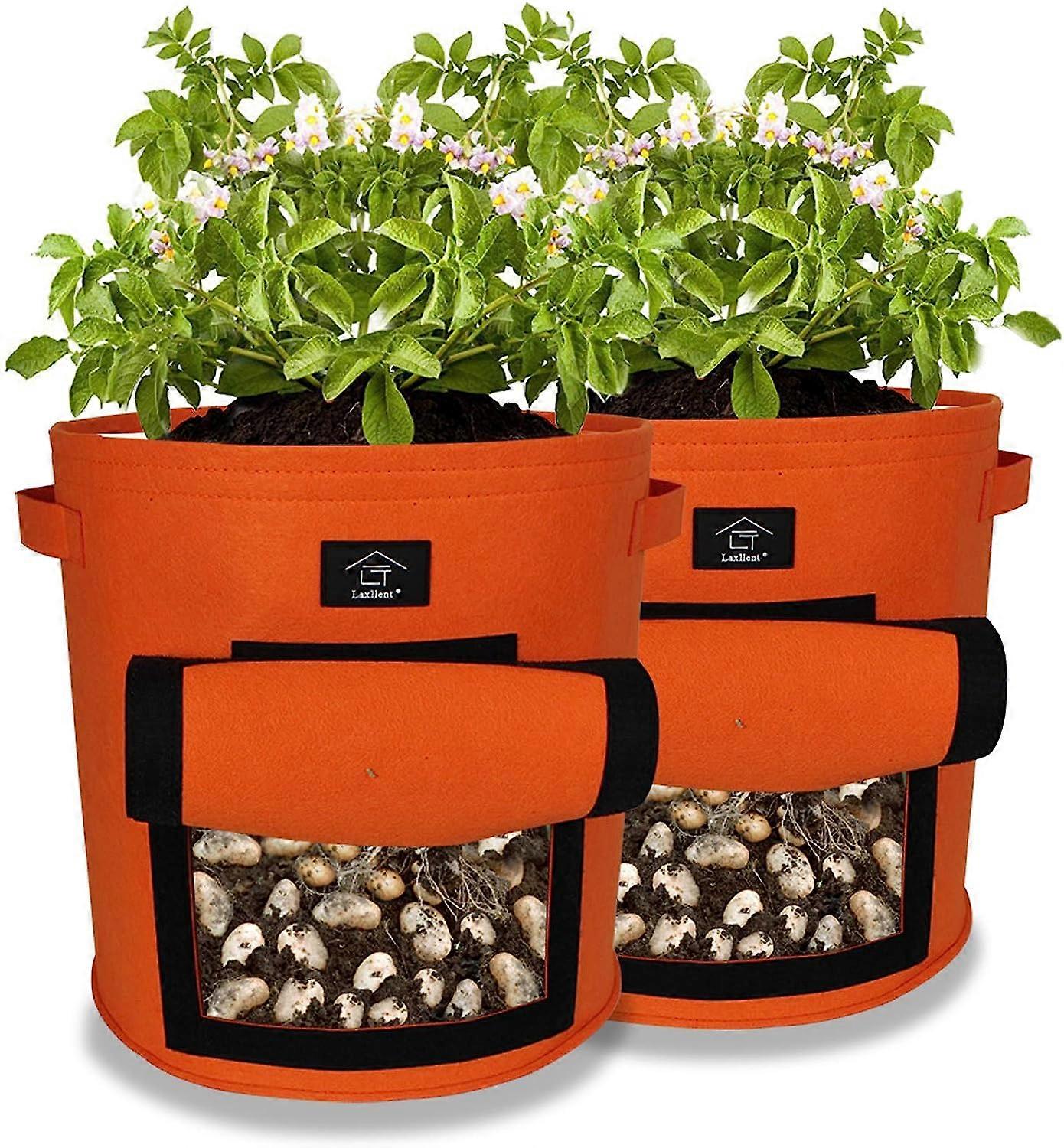 庭の植栽バッグ、2PCS 9ガロン野菜バッグ、不織布ウィンドウポテト植栽バッグ(2、テラコッタ)