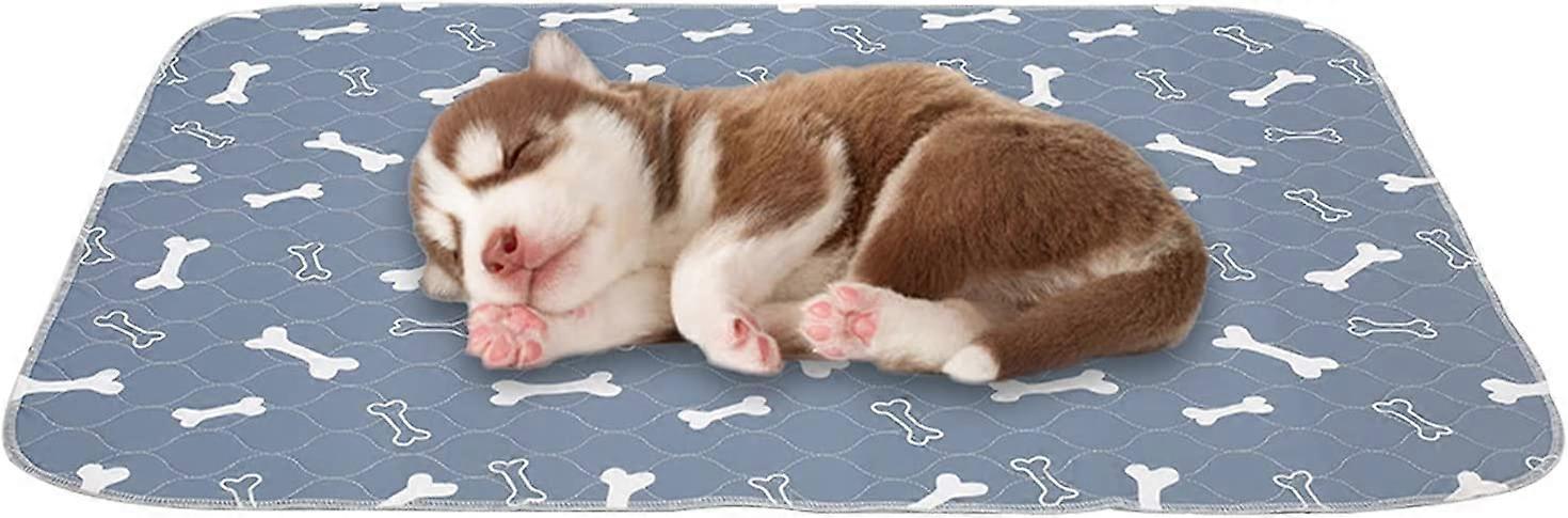 Set of 2 Educator Mats for Dogs and Puppys, Cleanliness Mats for Animals, Washable, Reusable, Super Absorbent, Leak-Proof Pee Pad, Non-Slip, Mat for C