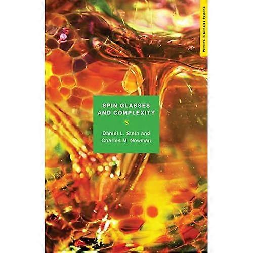 Spin Glasses and Complexity