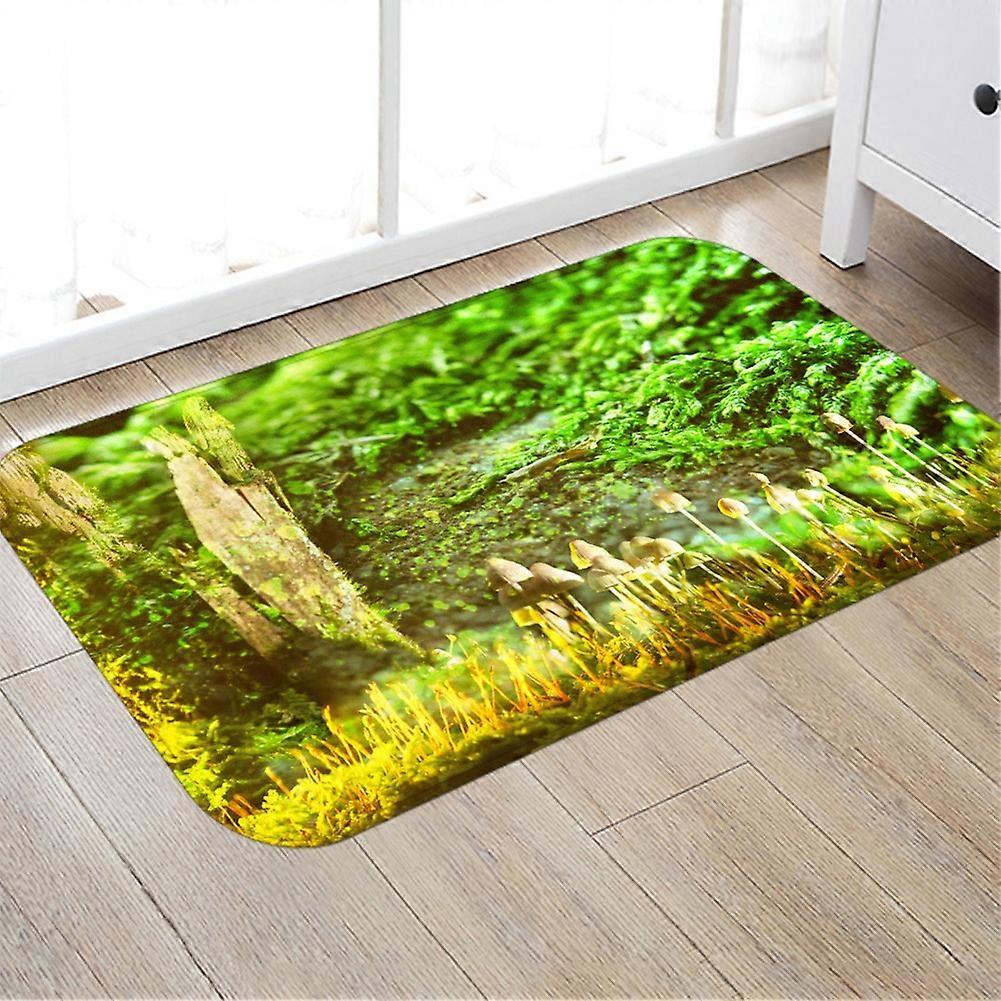 Non-Slip Water-Absorbing Door Mat Size Options, Color Options, Machine Washable, Entryway Use