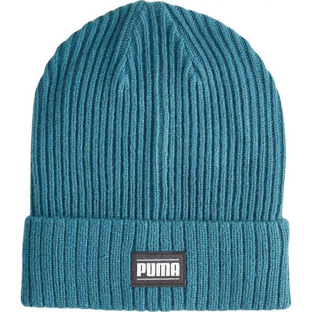 Caps Puma 02403811