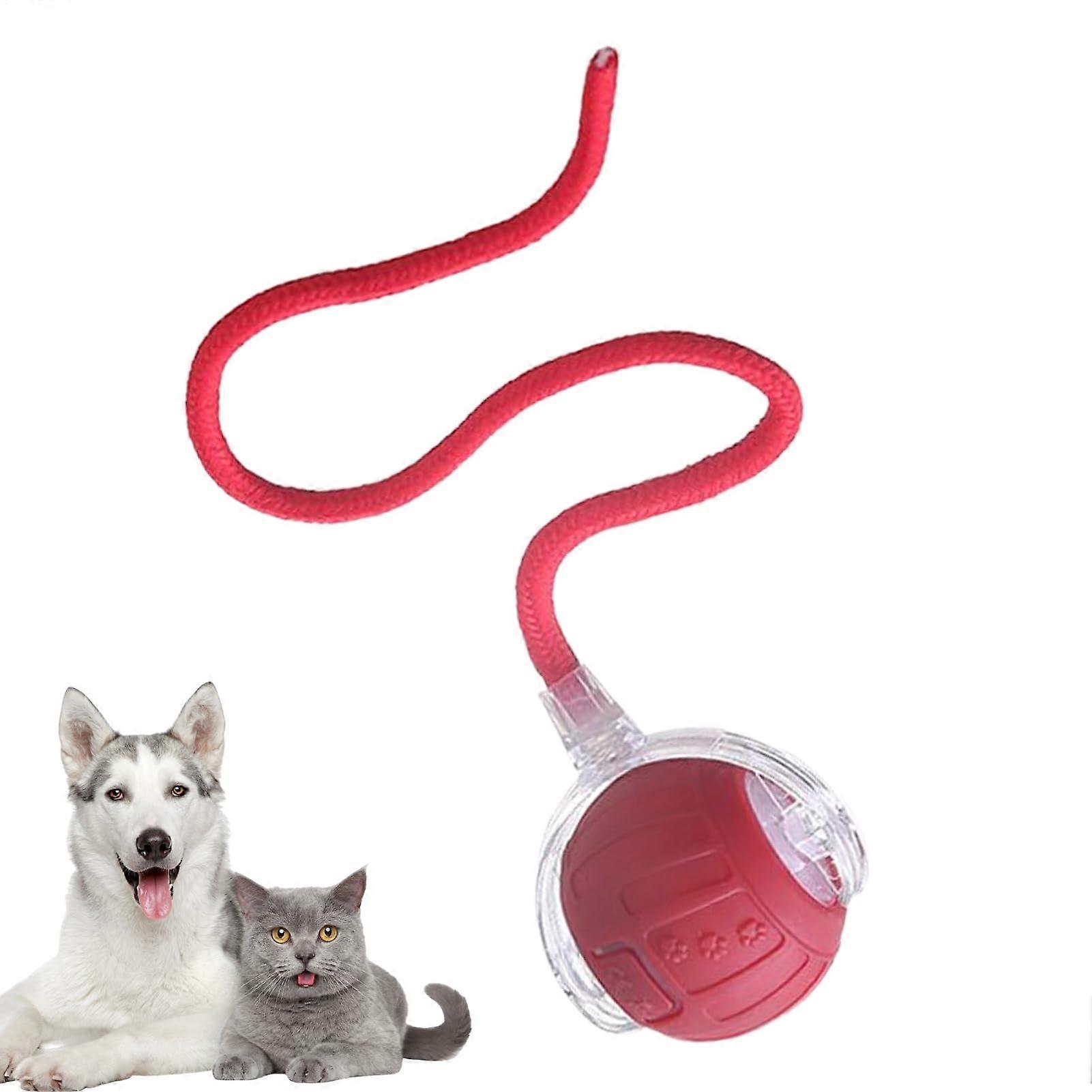 Interactive Cat Toy with Automatic Hunting Simulation, Rechargeable Ball and Durable Tail Rope for Indoor Cats