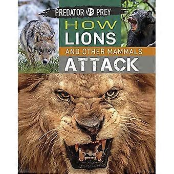 Predator vs Prey: Jak atakują lwy i inne ssaki (Predator vs Prey)