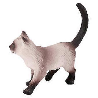 Siamese Cat Cognitive Model for Kid Educational Purpose Single Unit