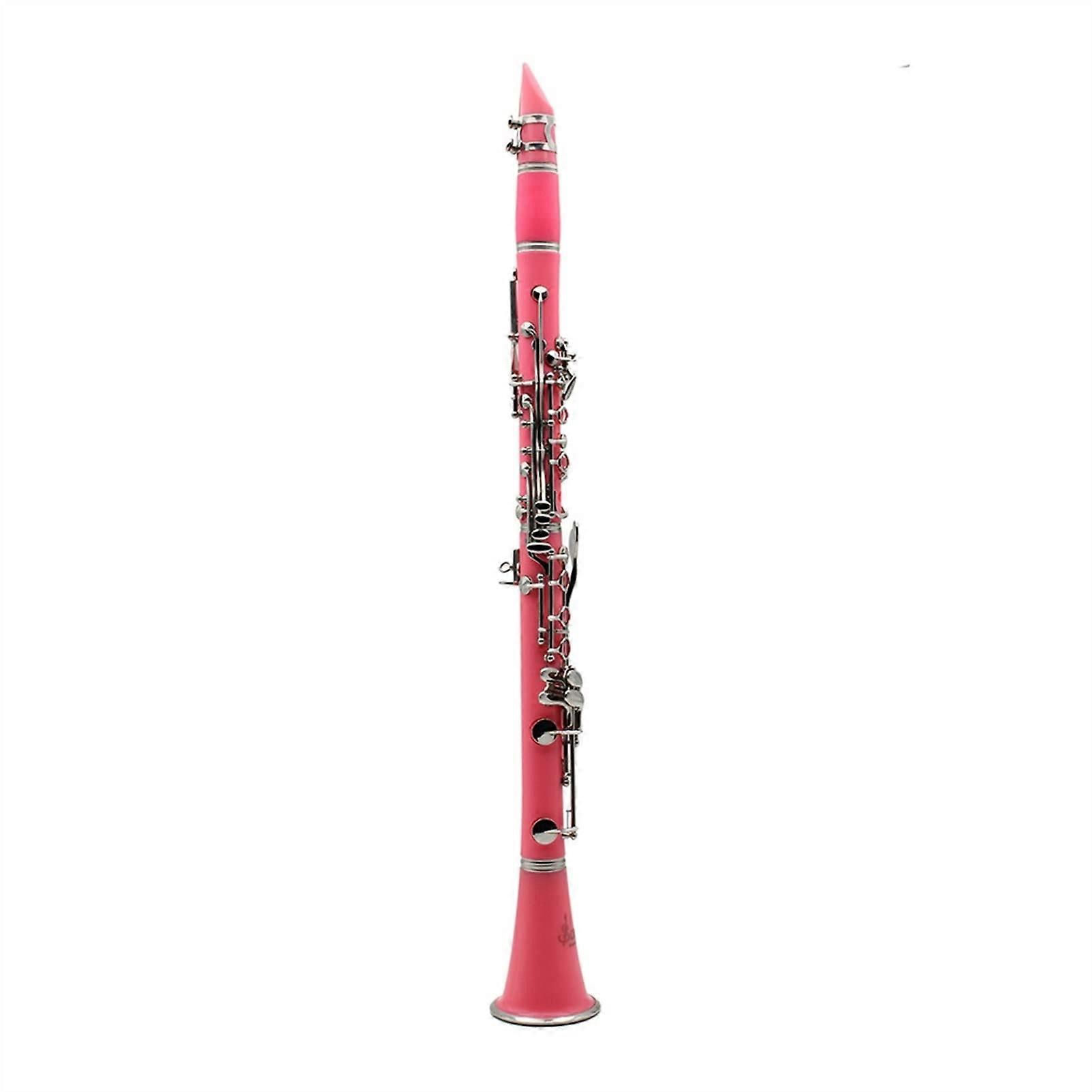 Beginner B Flat Clarinet 17Key Durable Bakelite with Multicolor Finish for Students