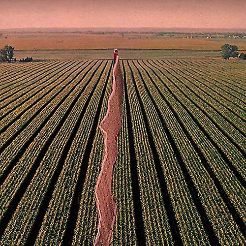 ポッシブル・ヒューマンズ - Everybody Split [VINYL] (可能な人間 - みんなスプリット [ビニール])