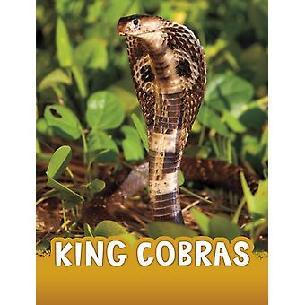 King Cobras - Jaclyn Jaycox