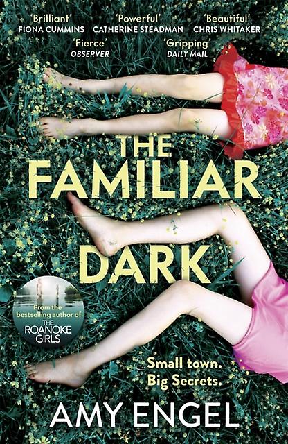 Familiar Dark - Amy Engel