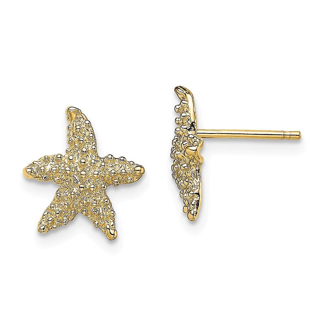 14k Gold Sea shell Nautical Starfish Post Earrings Textured 7x6.3mm Wide Stud Earring for Women