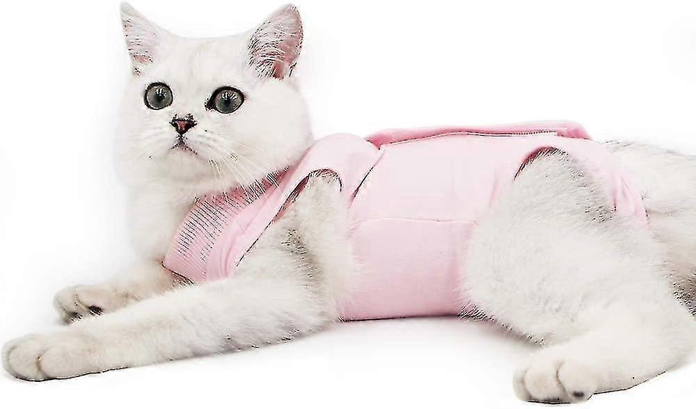 female cat sterilization suit