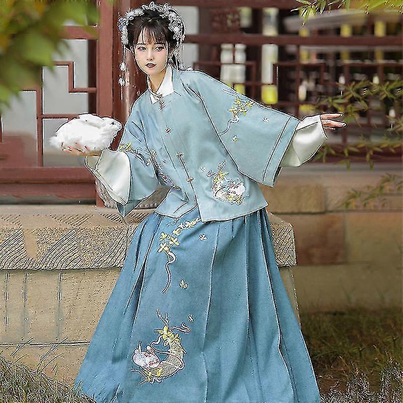 Chinese Style Ancient Costume Hanfu Women's Spring And Autumn Waist-length Skirt