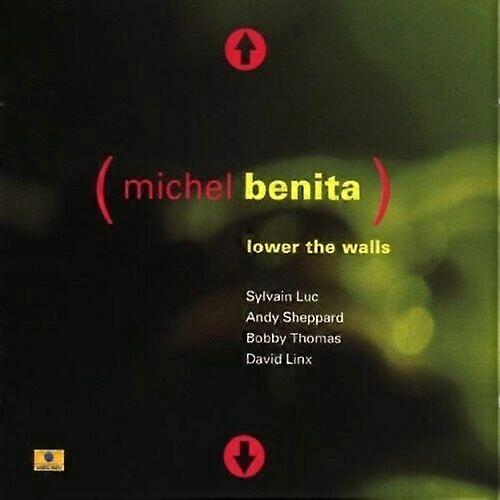 Sylvain Luc Lower the Walls CD