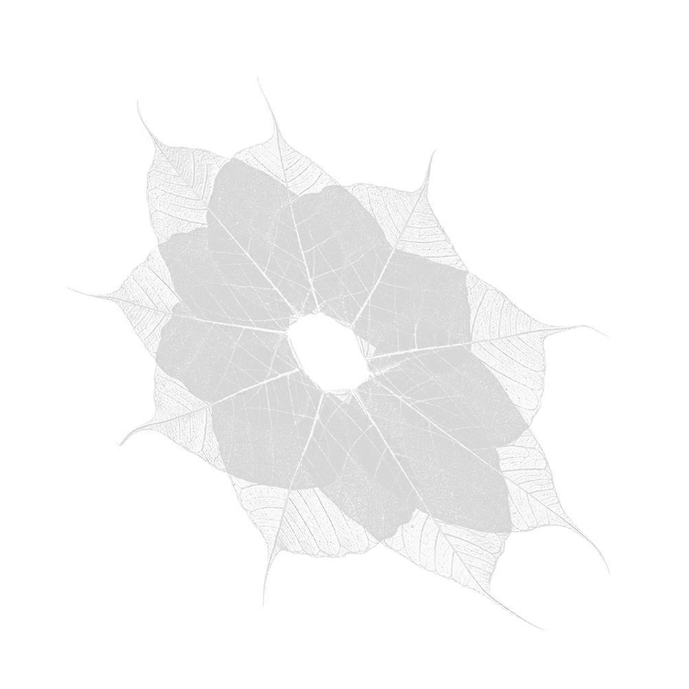 DIY Transparent Plastic Leaf Vein Bookmarks for Crafts and Decoration 10 Pieces