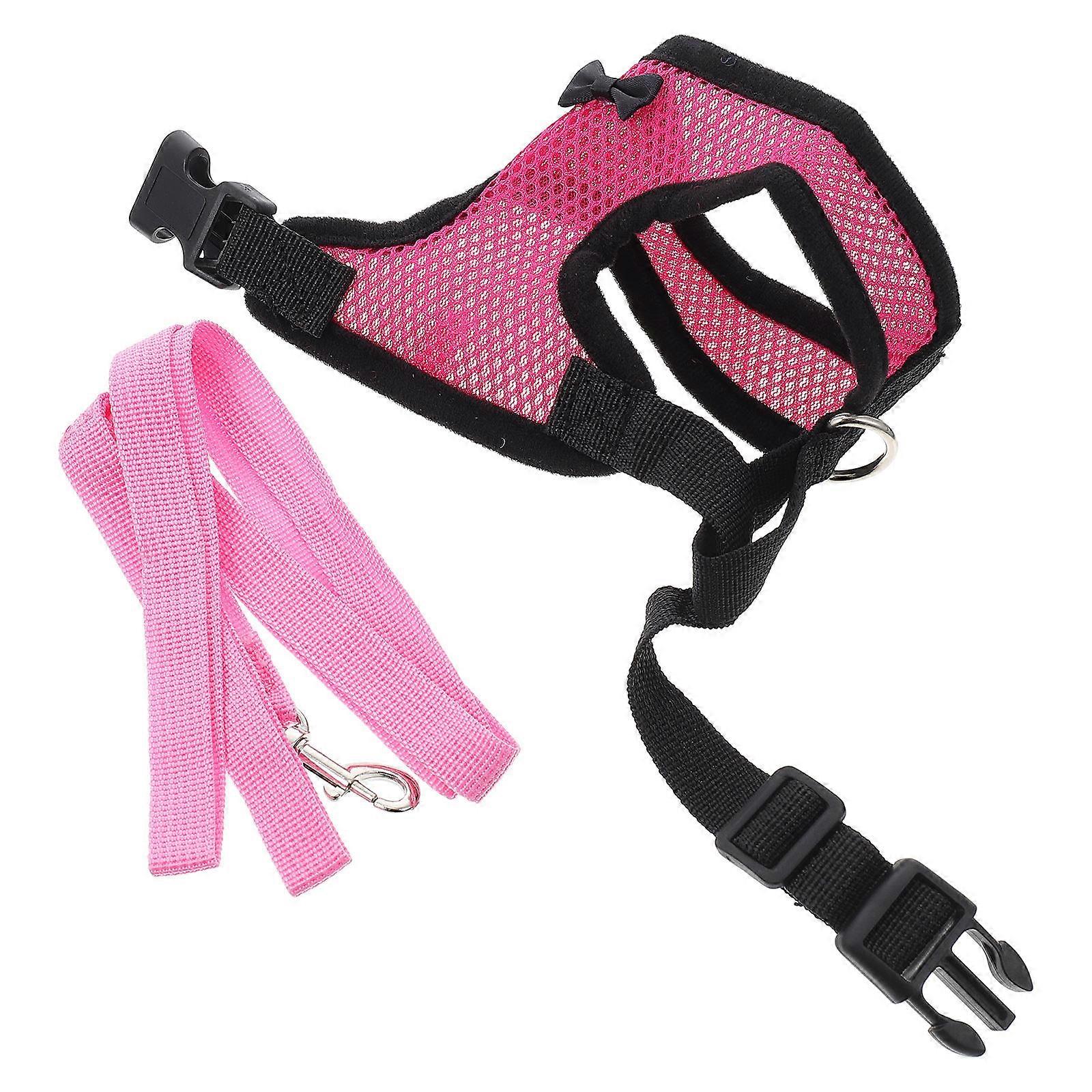 Pink Nylon Chicken Harness with Leash for Animals Creative Design Practical and Durable One Size