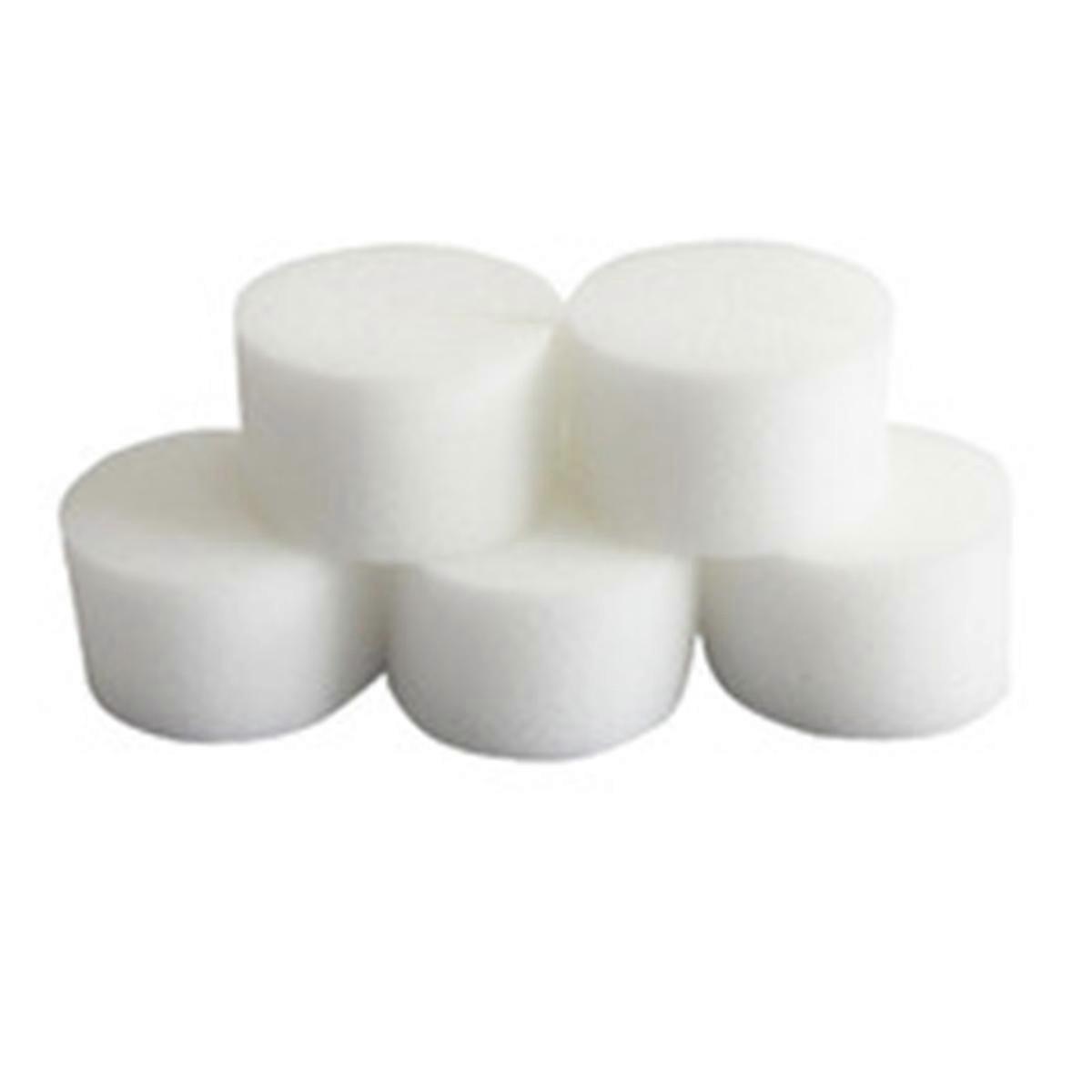 Hydroponic Gardening Tools White Vegetable Planting Sponge 50mmx30mm