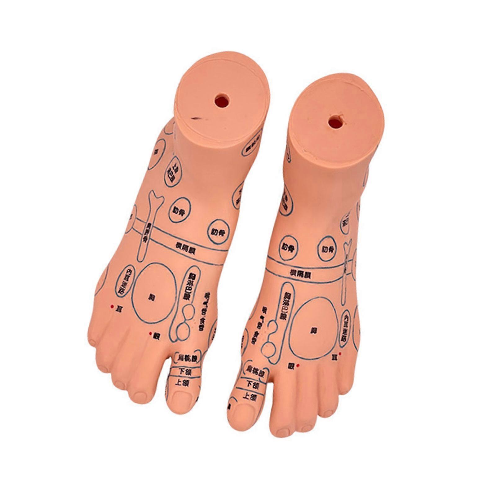 Life Size Baby Massage Teaching Tool With Marked Acupoints Points For Nursing Students And Pediatric Caregivers Multicolor