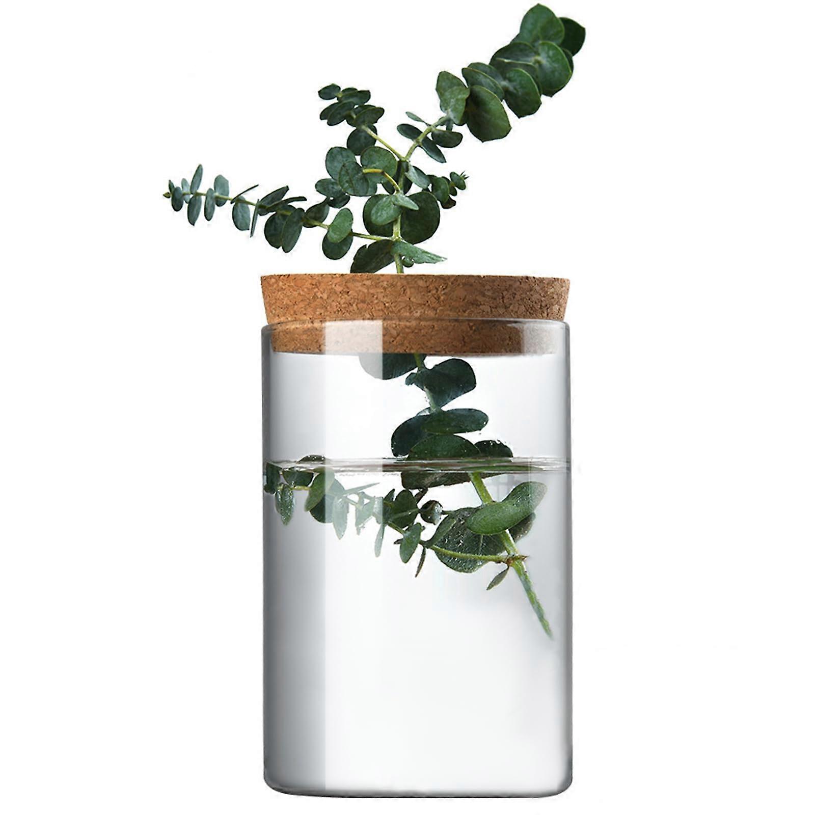 Tabletop Glass Planter Vase with Wooden Lid and Bamboo Stand for Hydroponic Plant Propagation