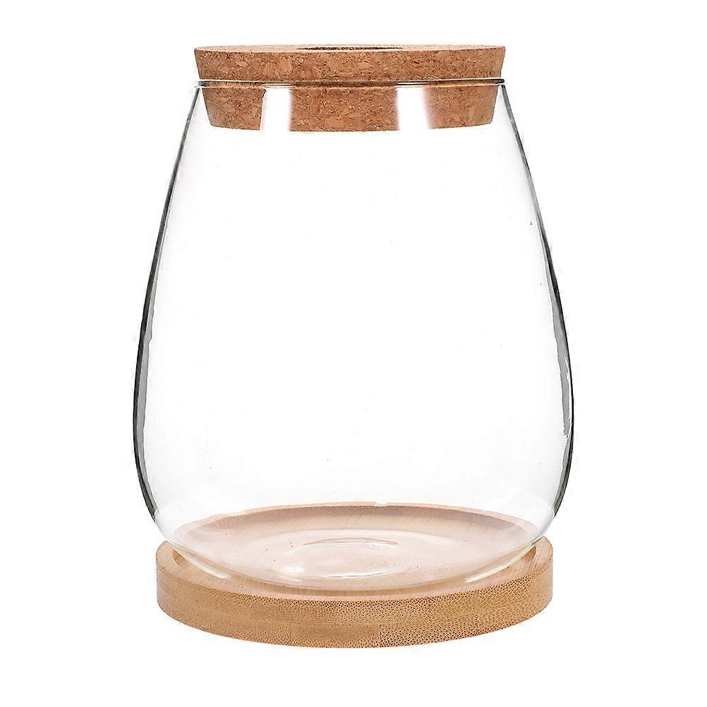 Water Cultivation Plant Terrarium Eco Bottle Multi-Functional Use 1Set