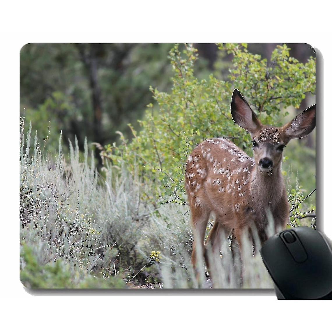 (220x180x3) Deer Nature Wildlife Borders Mouse Pad