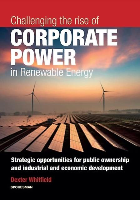 Challenging The Rise Of Corporate Power In Renewable Energy by Dexter Whitfield Paperback
