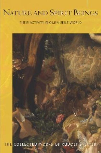 Nature And Spirit Beings by Rudolf Steiner Paperback Book