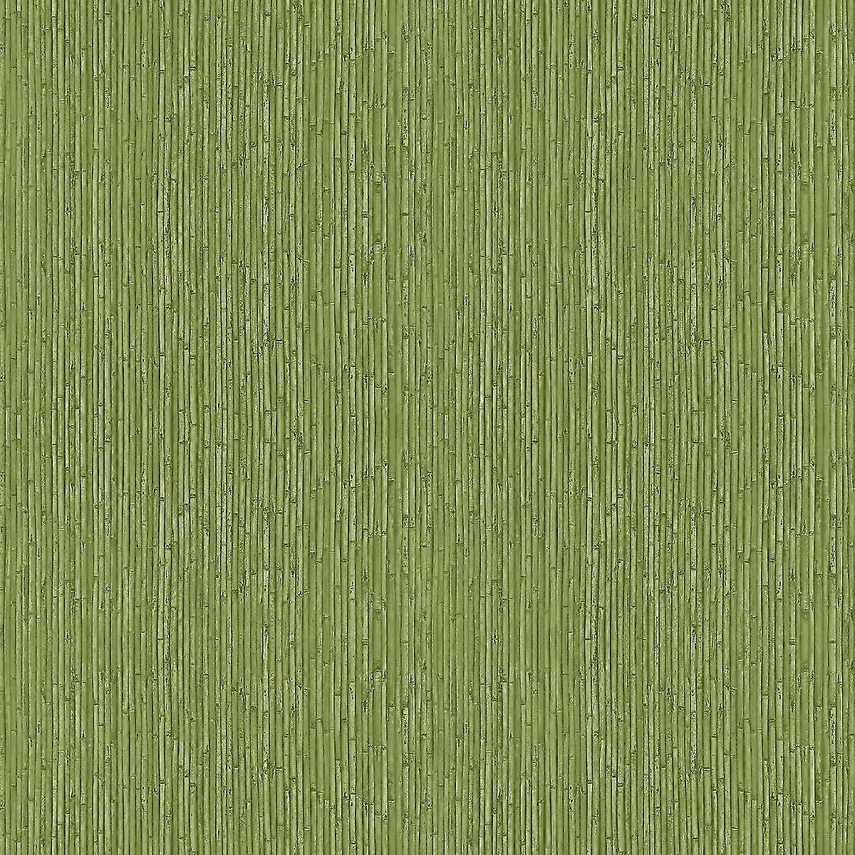 A vad bambusz tapéta galériába