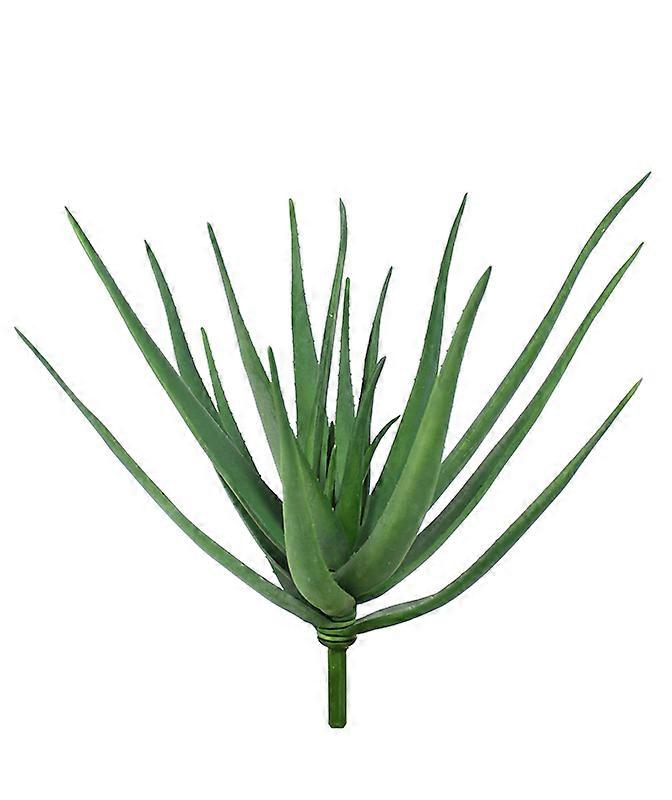 Aloe bouquet (60 cm)