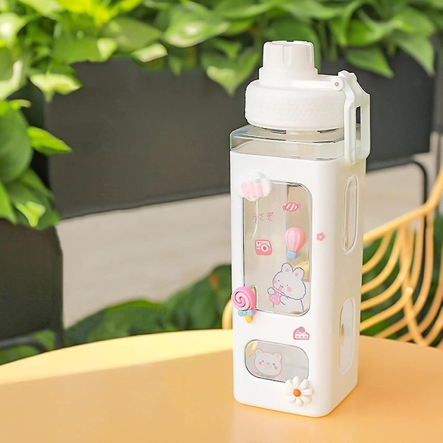 700ml Laptop Bottles For Drinks, With Straw Stickers