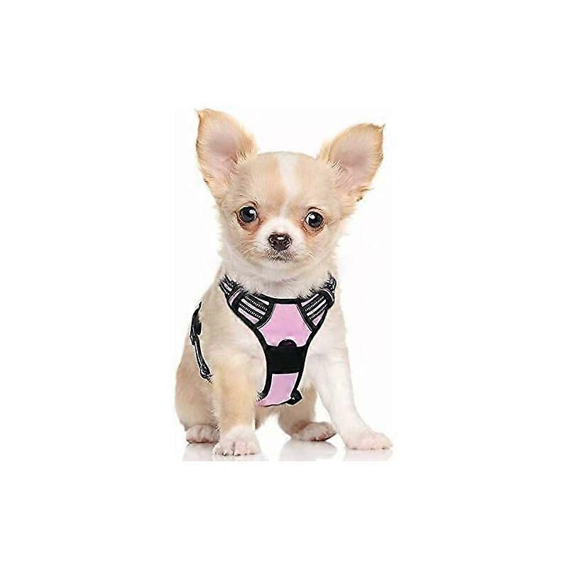 Dog Harness
