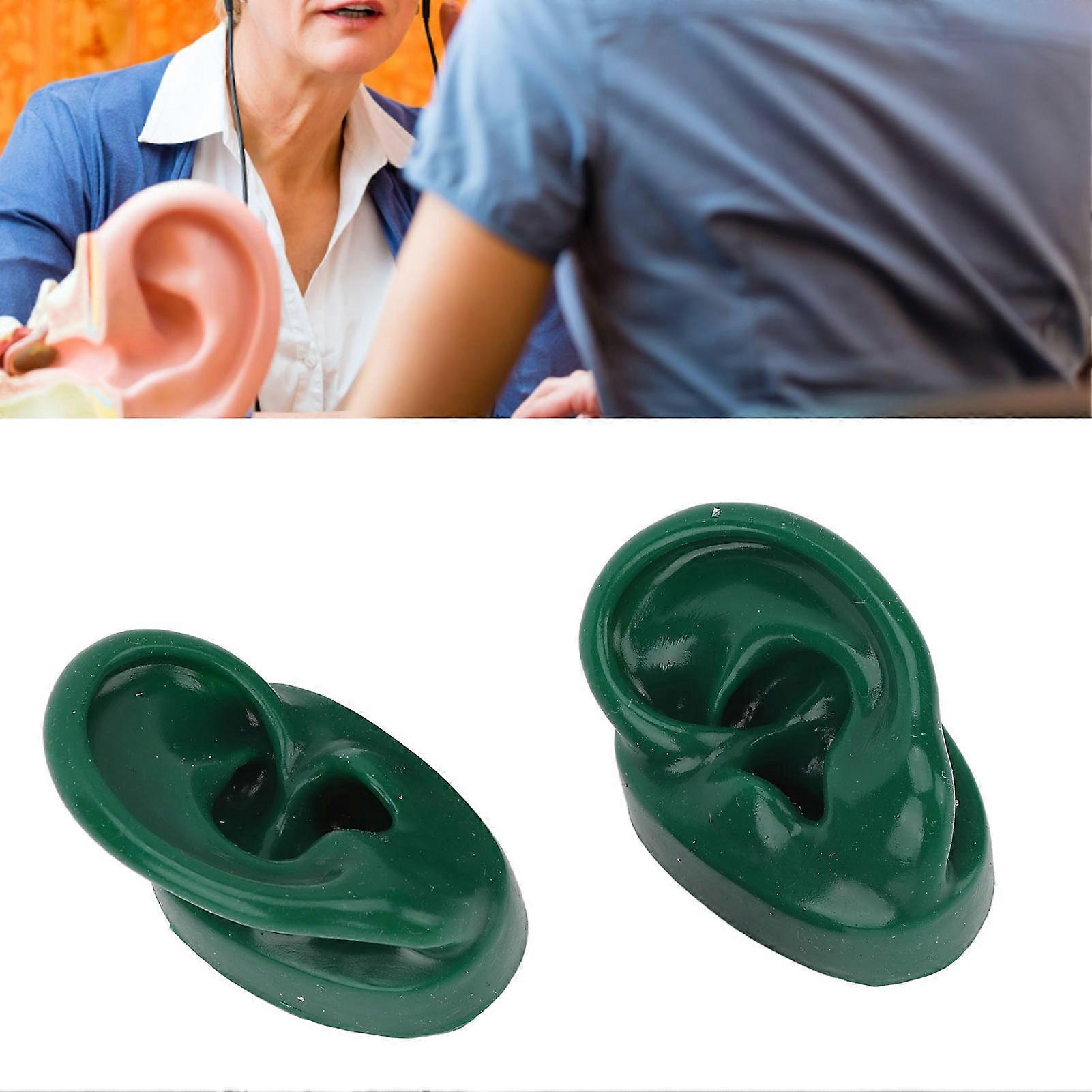 Simulated Pair Human Ear Model Display Soft Slick Water Resistance Model for Point Acupuncture Green 
