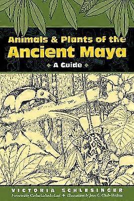 Animals and Plants of the Ancient Maya